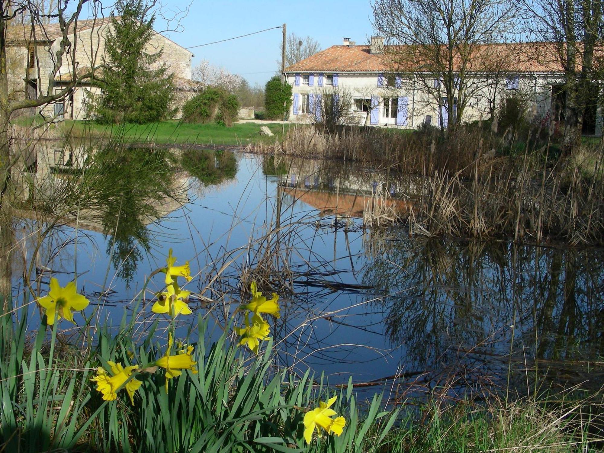 Bessines Chambres D'Hotes Entre Niort Et Marais Poitevin المظهر الخارجي الصورة